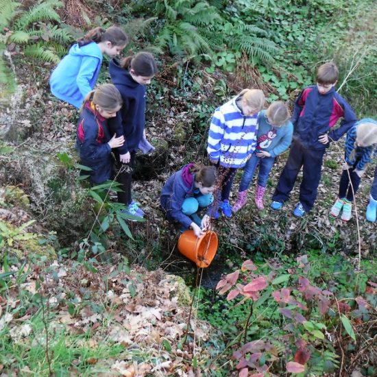 2018.2.23 Eco Ambassadors At Work Replacing Frog Spawn(43)