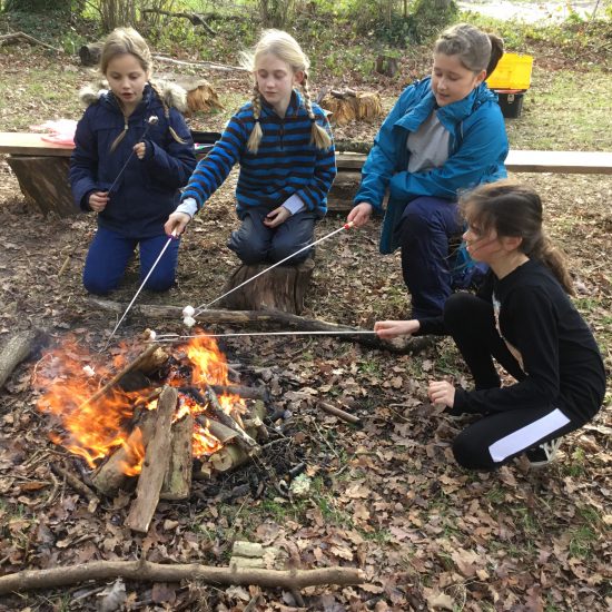 Forest School Gallery