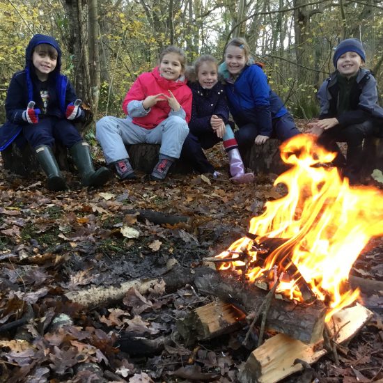 FOrest School 1