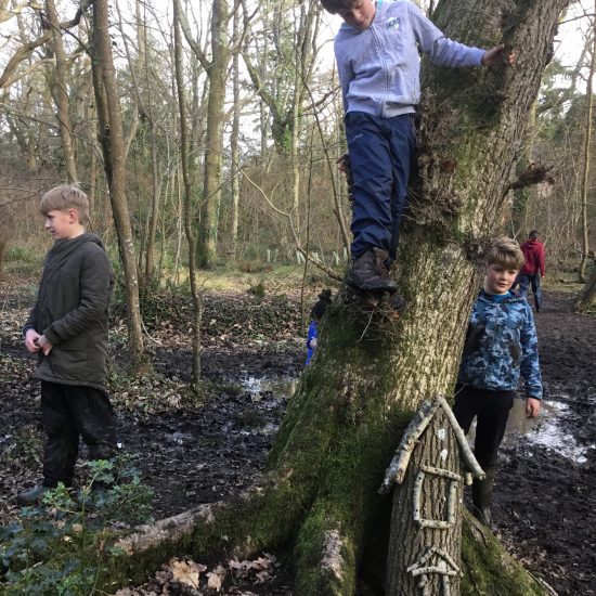 Forest School Hero (10)