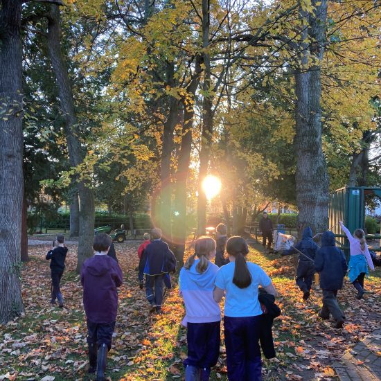 Forest School Gallery