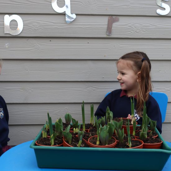 2021.3.12.PP.KG.Life.Play.friends.Eco.growing.bulbs (29)