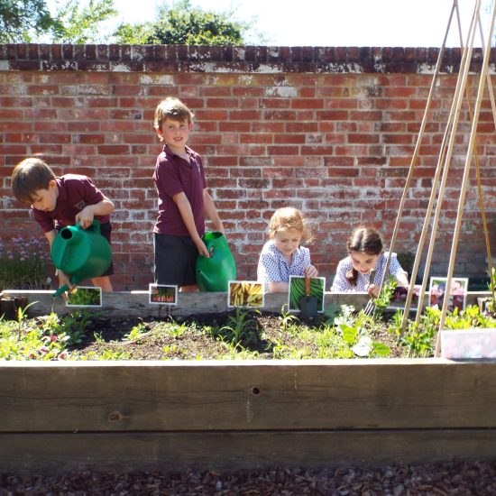 Pre-Prep Gardening