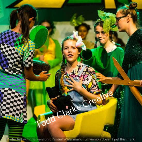 B Wizard Of Oz 2023 178 (Medium)