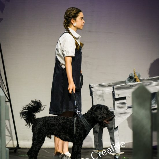 B Wizard Of Oz 2023 4 (Medium)