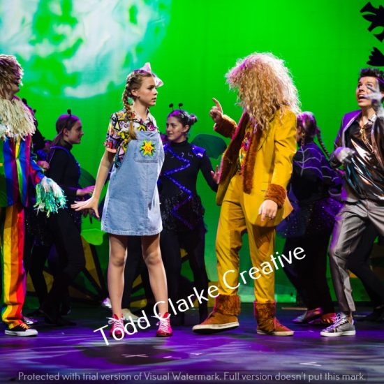 B Wizard Of Oz 2023 606 (Medium)