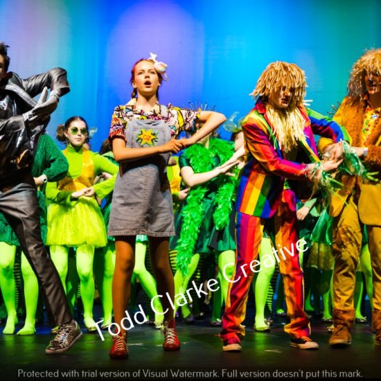 B Wizard Of Oz 2023 668 (Medium)