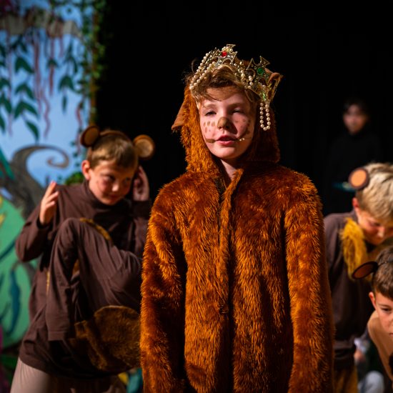 BS Jungle Book 174
