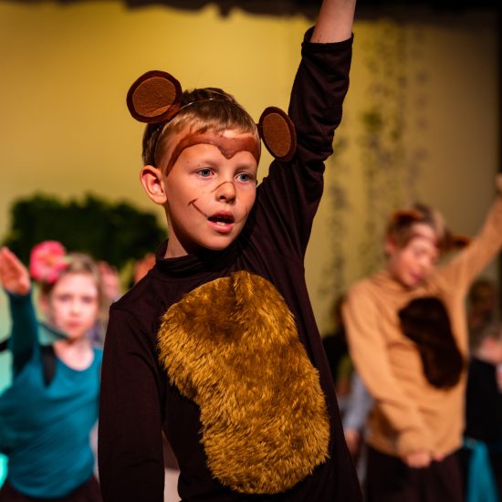 BS Jungle Book 90