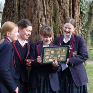Students looking at a laptop resting against a large tree