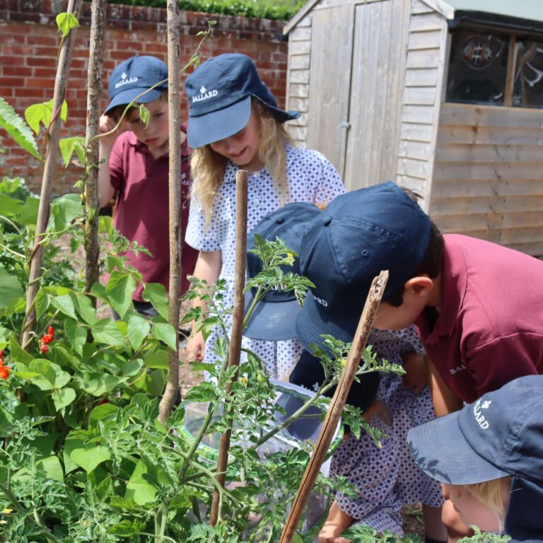 2025.06.27. Life. PP. Y2. Butterfly Release (4)