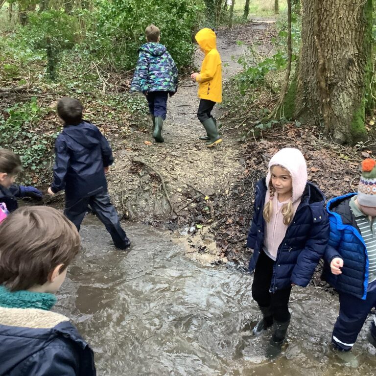 20250129 141840960 IOS