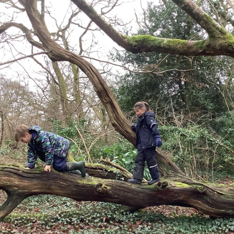 20250129 142146780 IOS