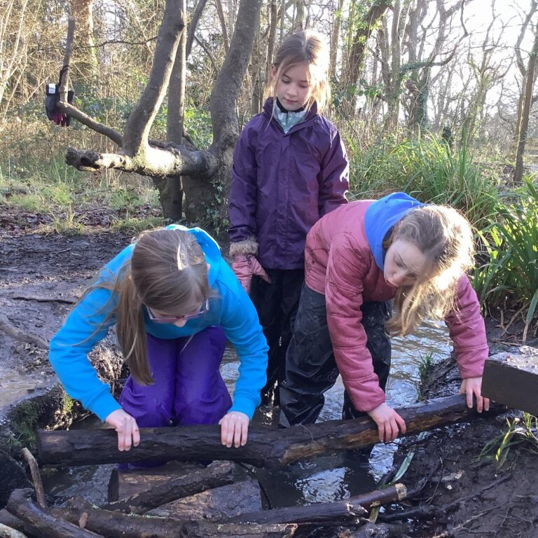 20250130 150031401 IOS