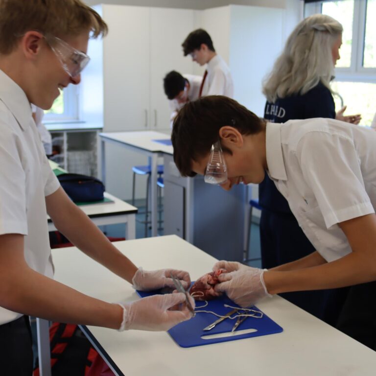 2025.10.03. STEM. Senior. Y10. Heart Dissection Science (1)