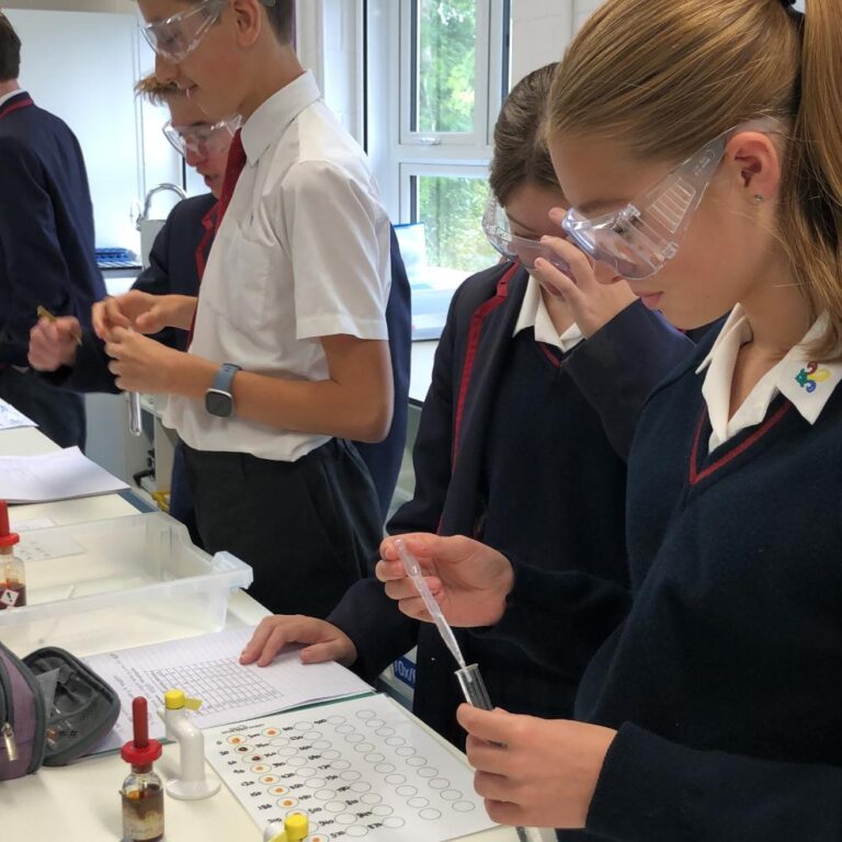 2025.10.10. STEM. Senior. Y10. Science Enzymes (24)