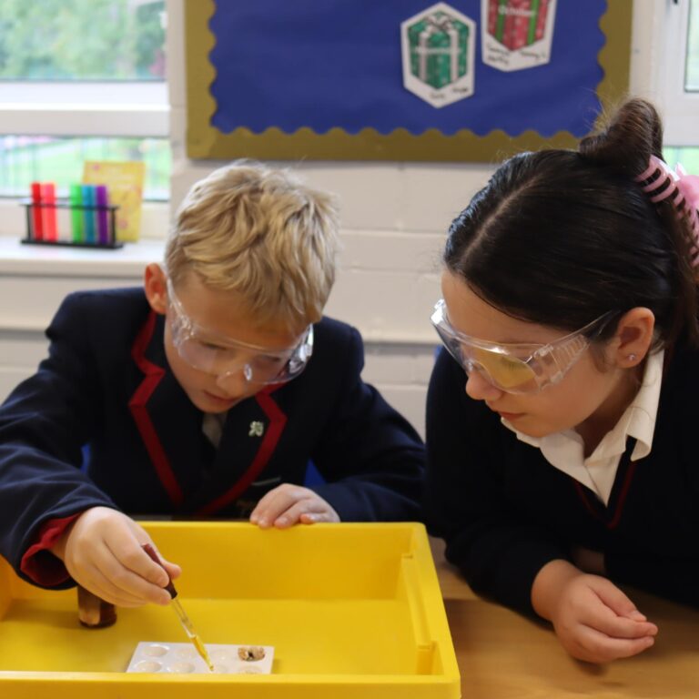 2025.10.10.STEM. UP. Y6. Science. Testing For Stach And Fats (29)