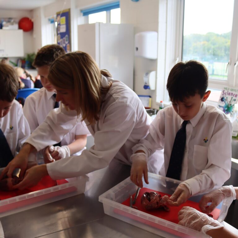 2025.10.3.UP.Y6.STEM.Science.Heart.disection (21)