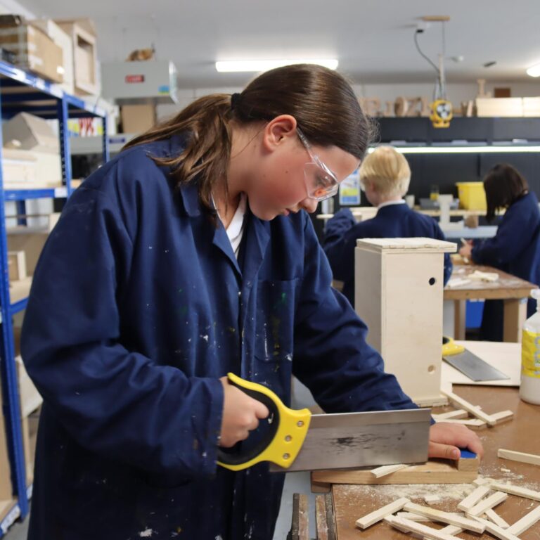 2025.10.3.UP.Y7.STEM.DT (15)